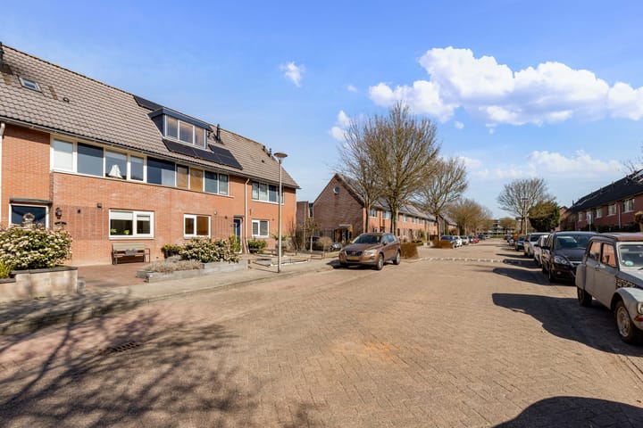 Photo 39 of Grote Beer 40