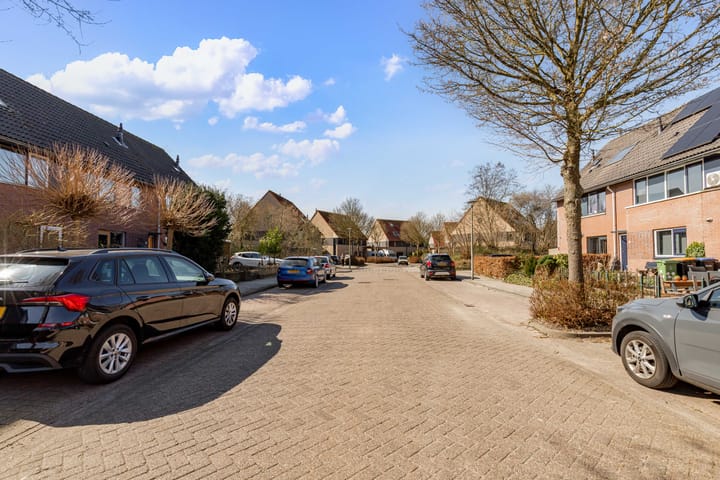 Photo 40 of Grote Beer 40