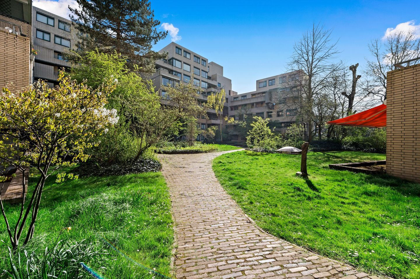 Foto 4 van Burgemeester Patijnlaan 202