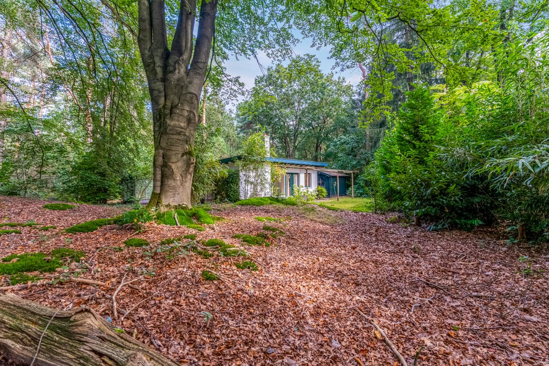 Foto 1 van Laan van Laag Kanje 28-R1