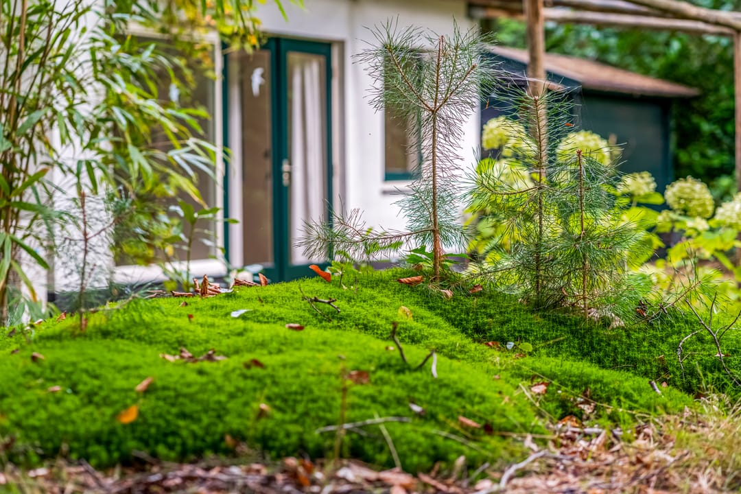 Foto 26 van Laan van Laag Kanje 28-R1