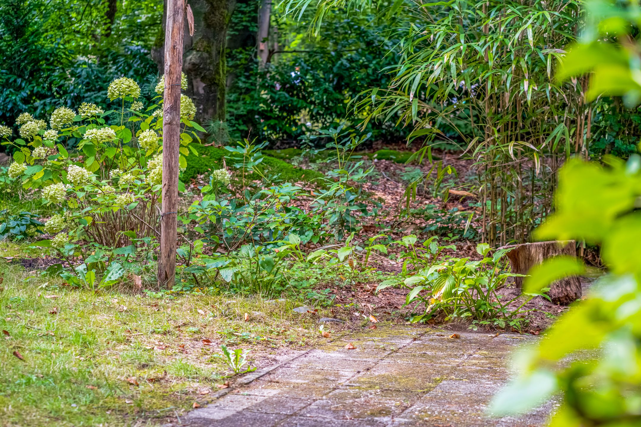 Foto 30 van Laan van Laag Kanje 28-R1