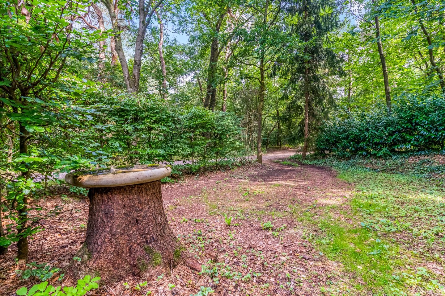 Foto 35 van Laan van Laag Kanje 28-R1