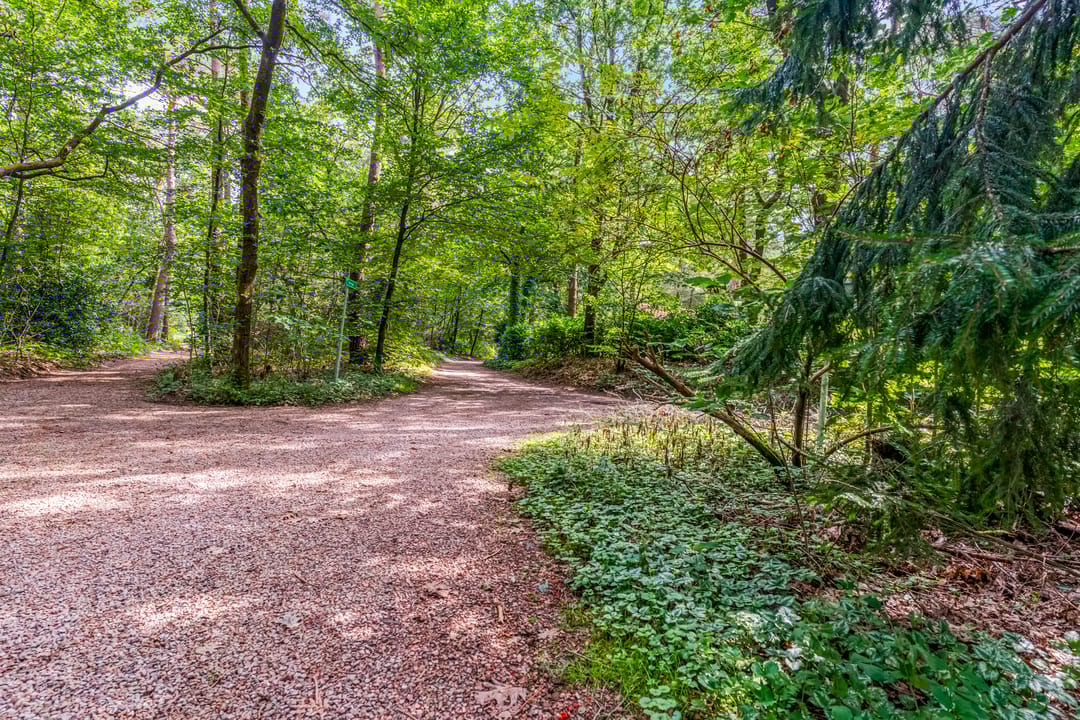 Foto 37 van Laan van Laag Kanje 28-R1