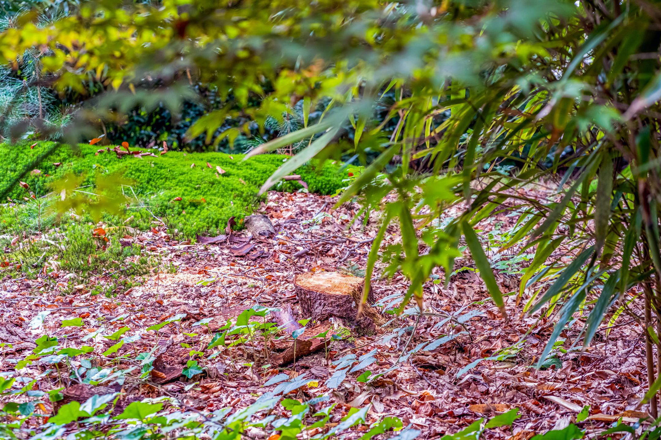 Foto 39 van Laan van Laag Kanje 28-R1