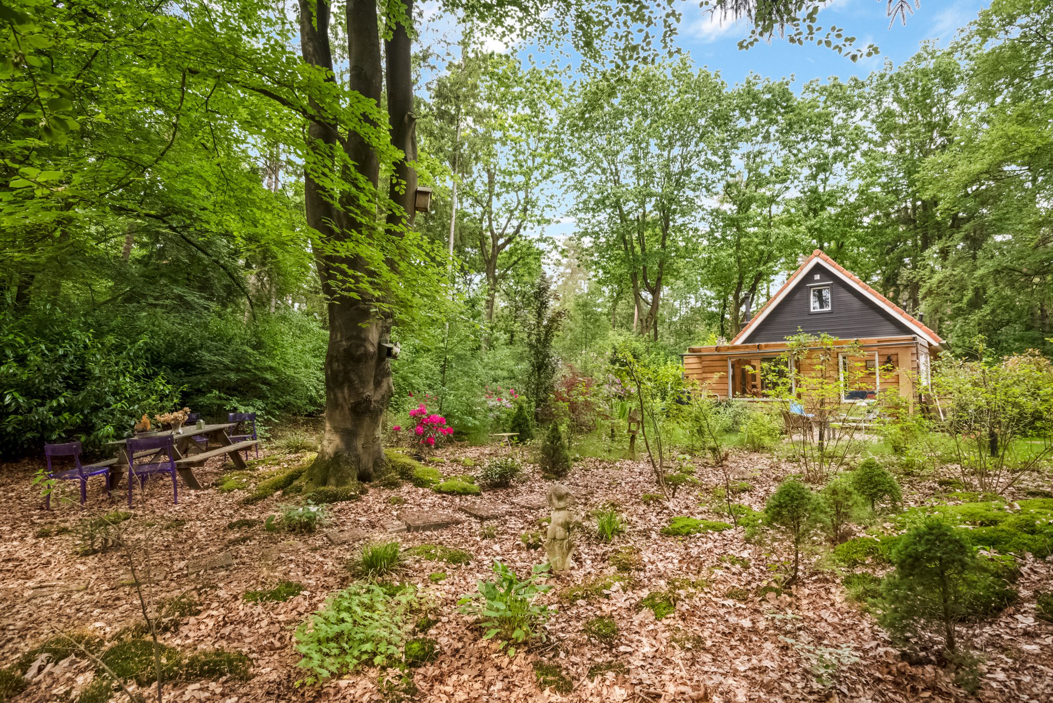 Foto 24 van Laan van Laag Kanje 29-R1