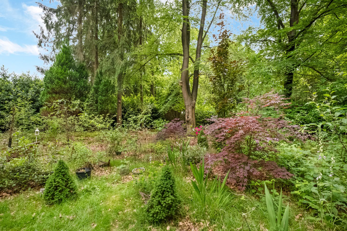 Foto 29 van Laan van Laag Kanje 29-R1