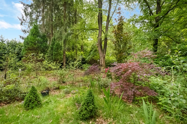 Photo 29 of Laan van Laag Kanje 29-R1