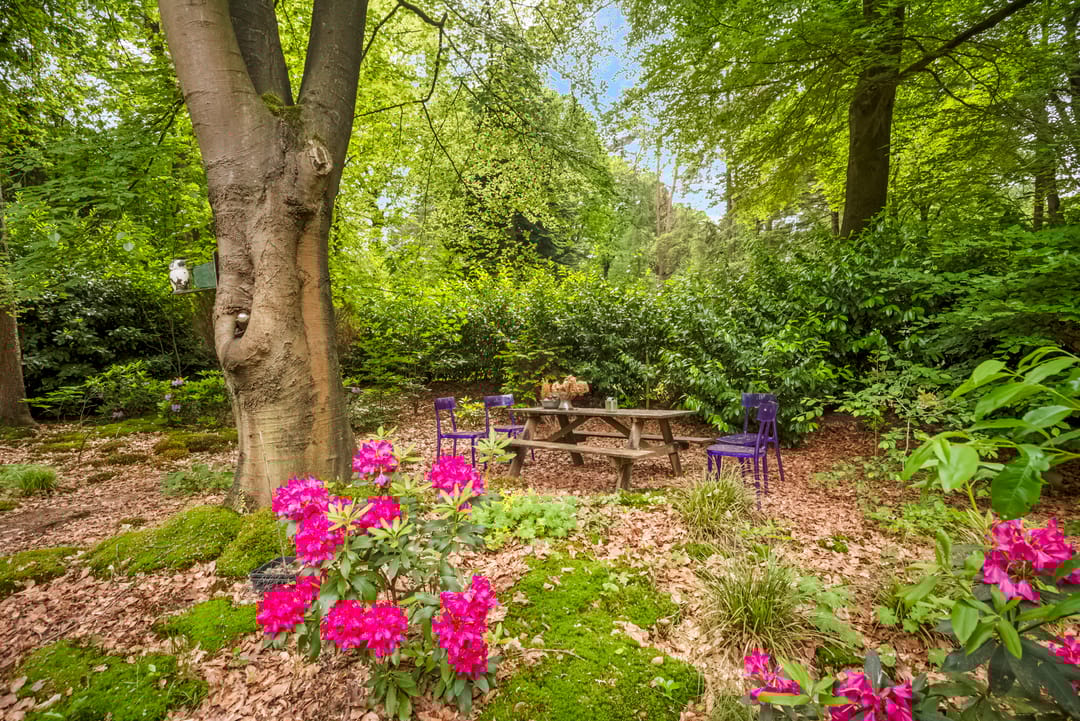 Foto 22 van Laan van Laag Kanje 29-R1