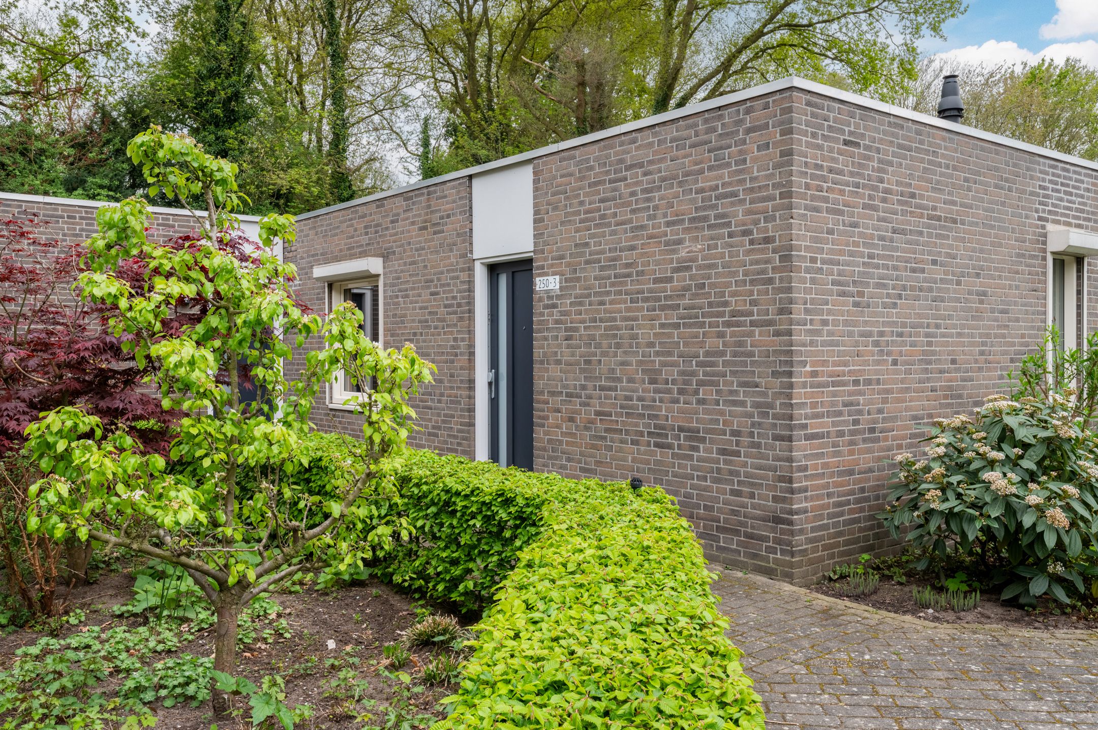 Foto 21 van Bosscheweg 250-03