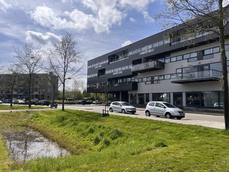 undefined main image