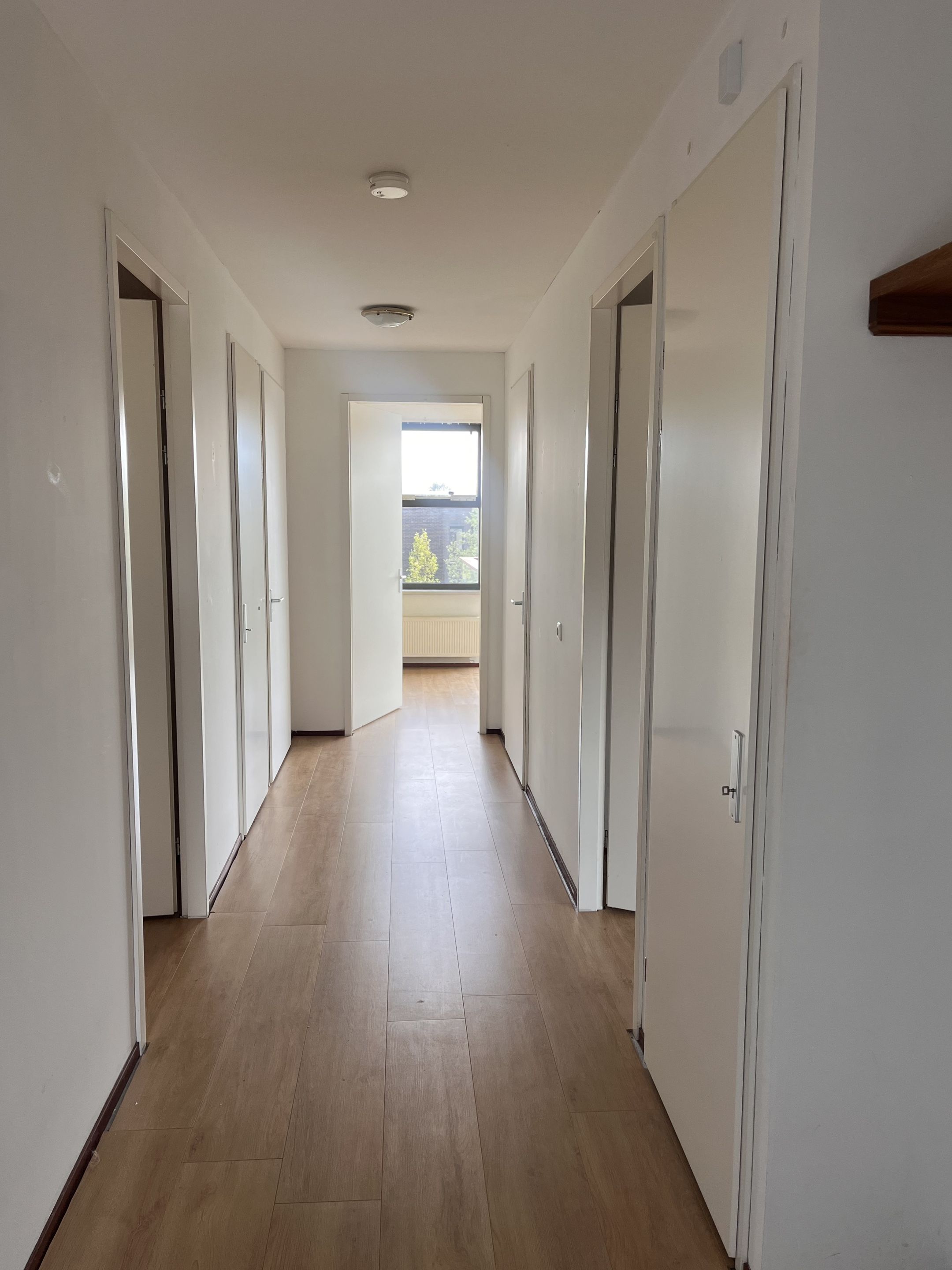 Foto 6 van Nassaulaan 199