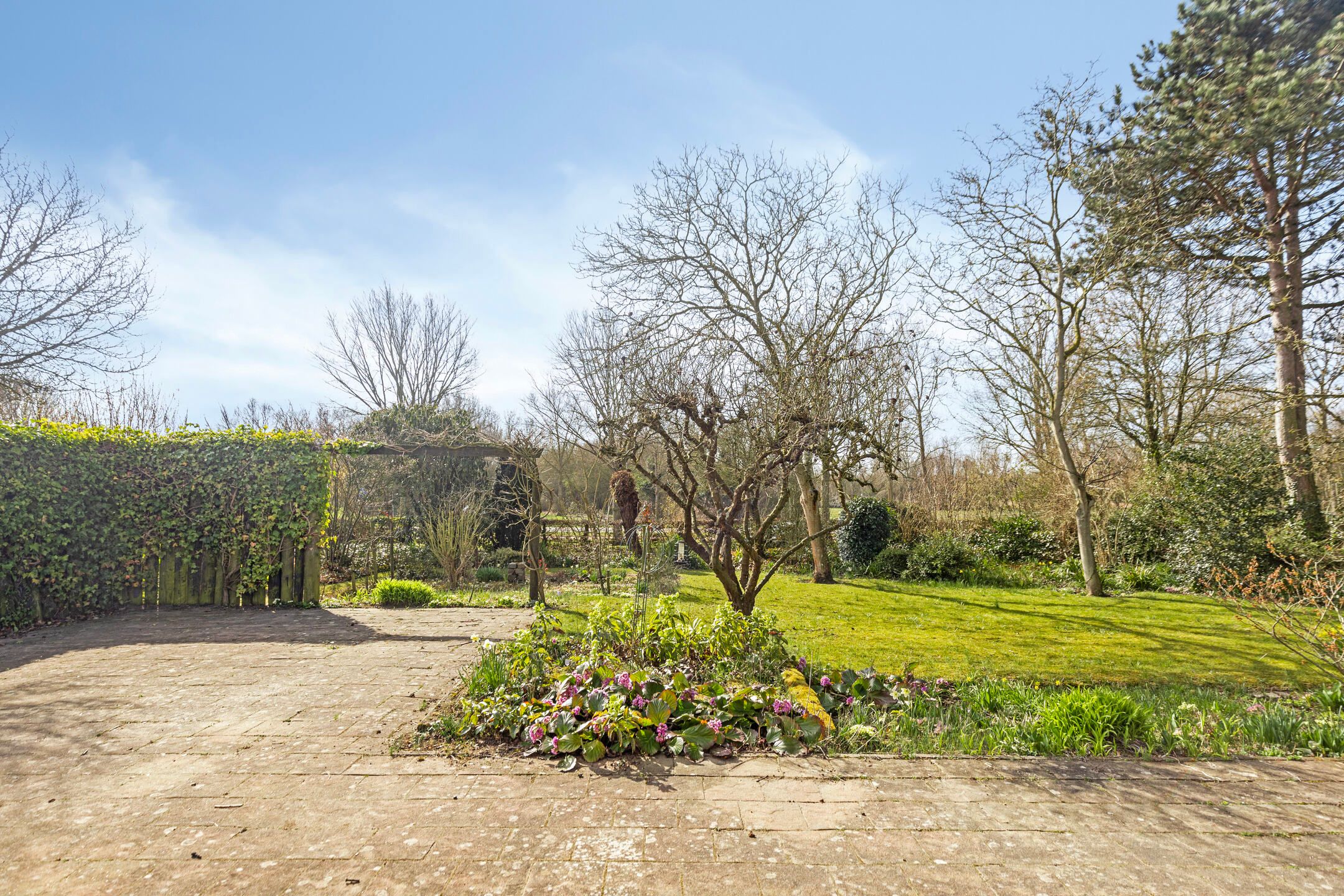 Photo 39 of Van Beethovenlaan 1