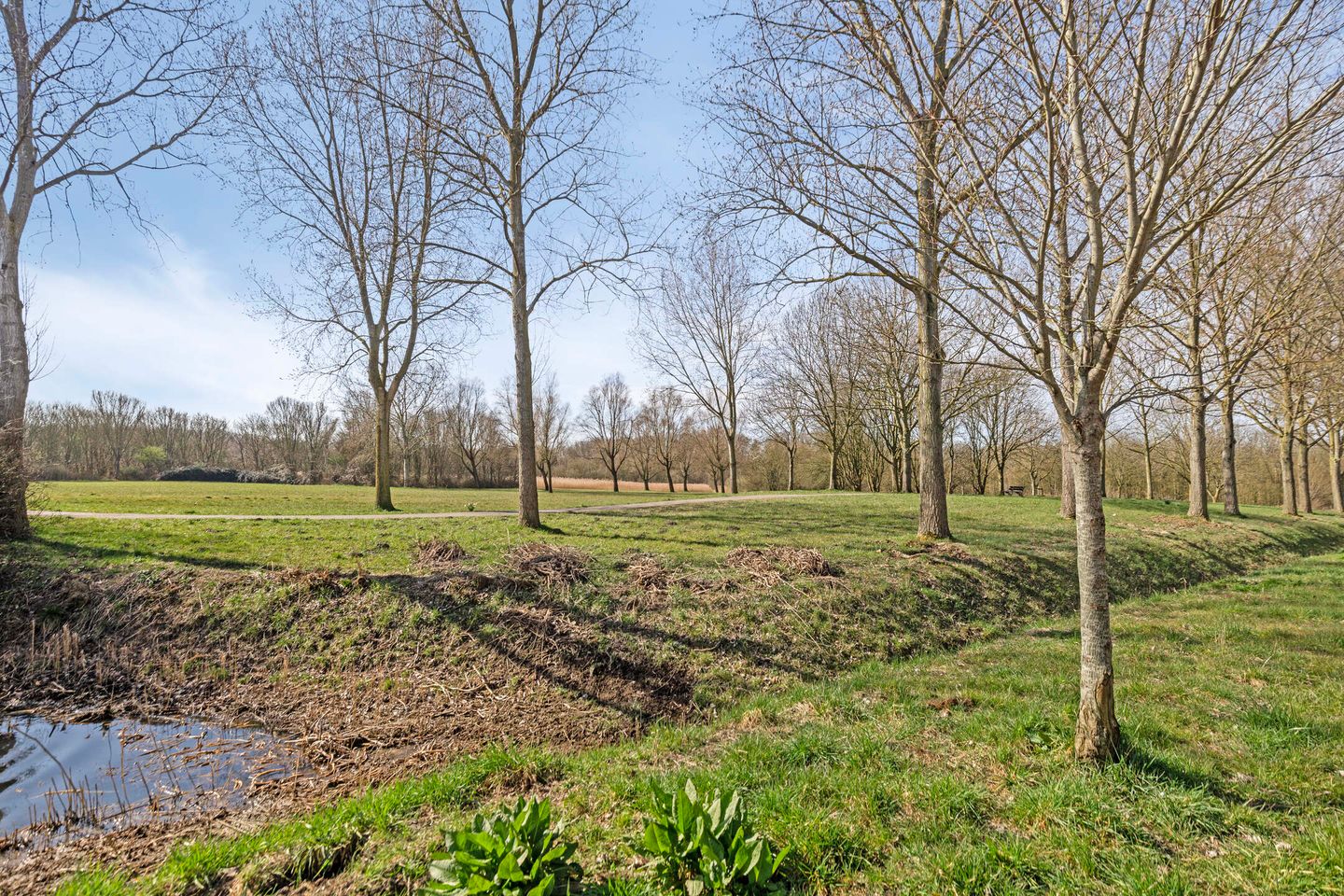 Photo 44 of Van Beethovenlaan 1