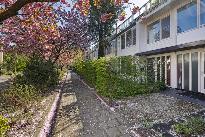 Foto 36 van Zamenhoflaan 13