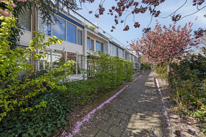 Foto 37 van Zamenhoflaan 13