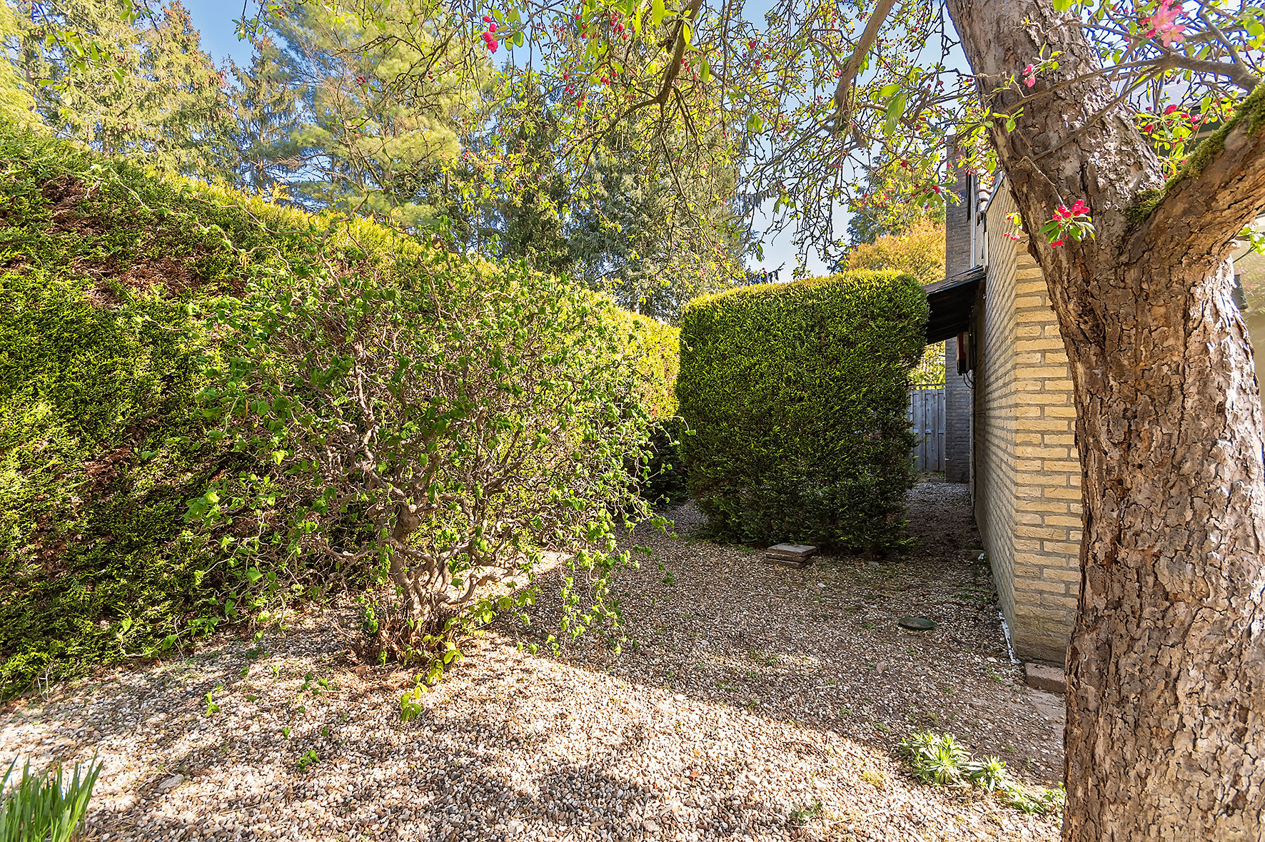 Foto 36 van Vinkenlaan 13