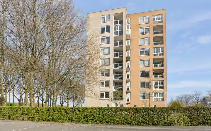 Foto 1 van Hermelijnvlinder 117