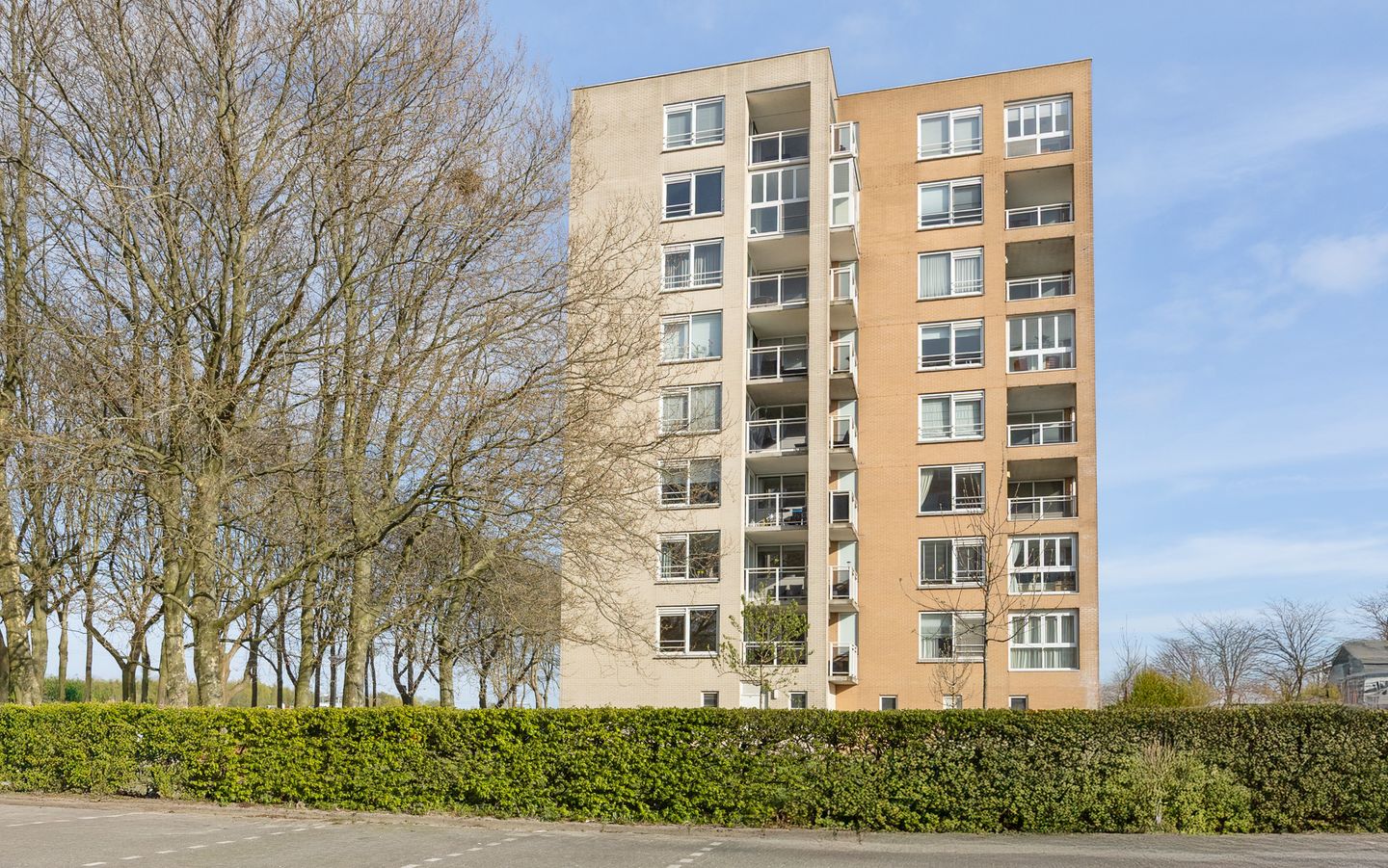 Foto 1 van Hermelijnvlinder 117