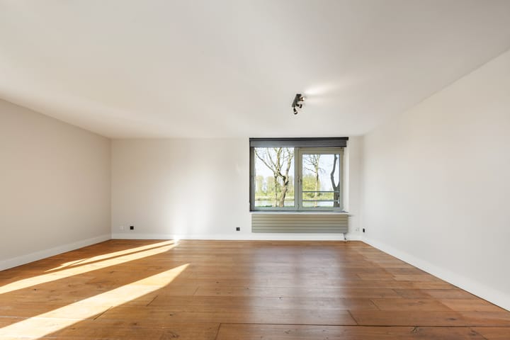 Foto 3 van Hermelijnvlinder 117