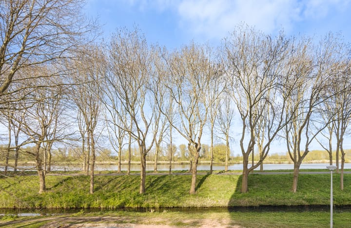 Foto 4 van Hermelijnvlinder 117