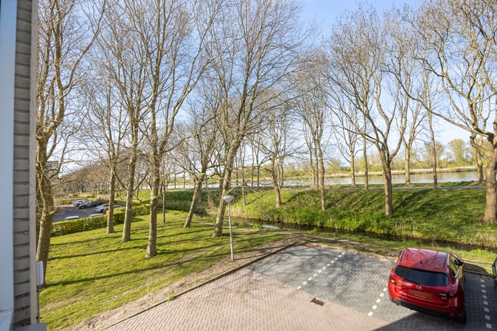 Foto 5 van Hermelijnvlinder 117