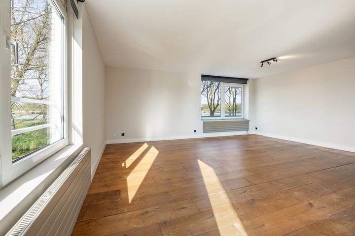 Foto 6 van Hermelijnvlinder 117