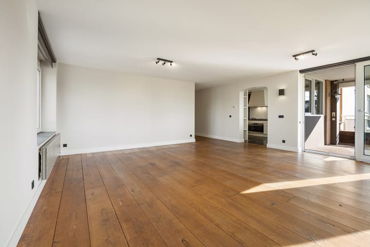 Foto 8 van Hermelijnvlinder 117