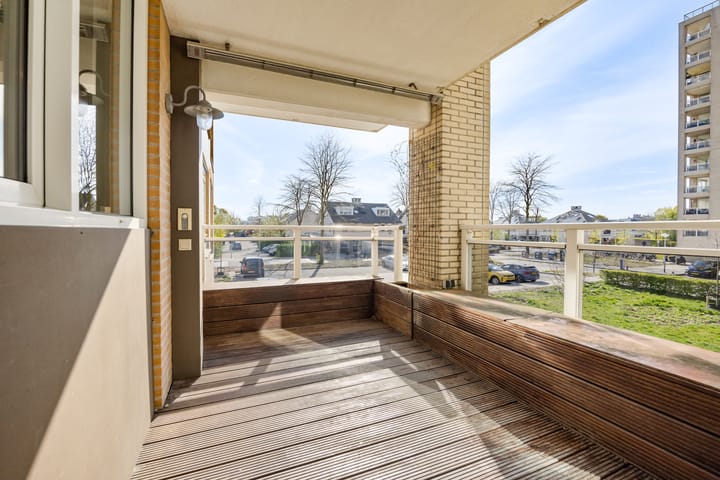 Foto 9 van Hermelijnvlinder 117