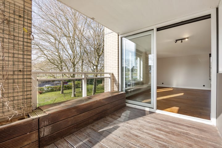 Foto 10 van Hermelijnvlinder 117