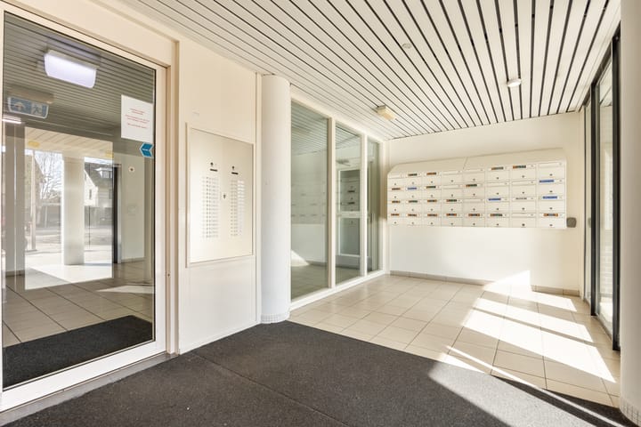 Foto 28 van Hermelijnvlinder 117