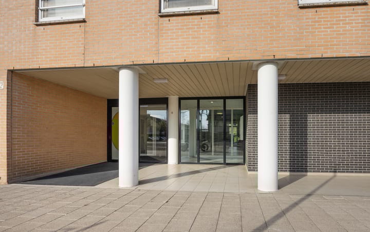 Foto 29 van Hermelijnvlinder 117