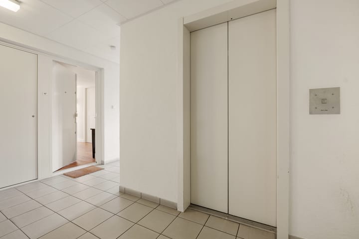 Foto 30 van Hermelijnvlinder 117