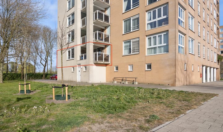 Foto 31 van Hermelijnvlinder 117