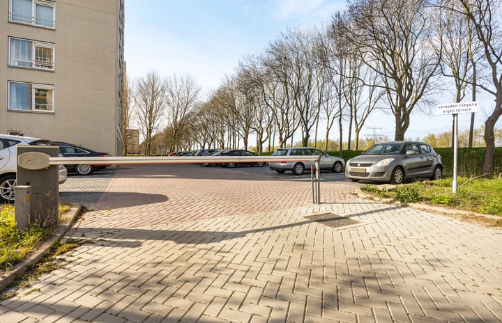 Foto 33 van Hermelijnvlinder 117