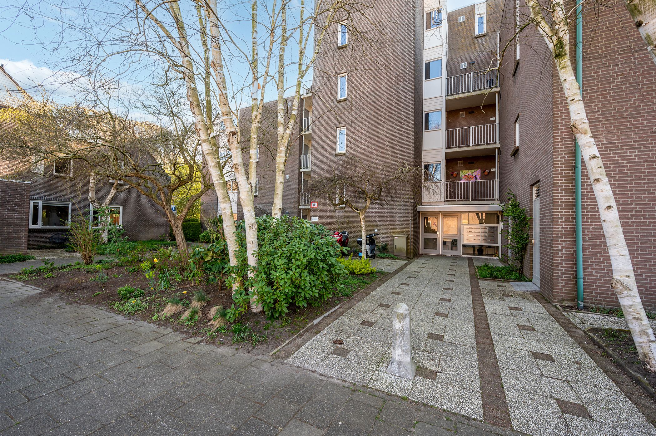 Foto 3 van Elzekrulzoom 45