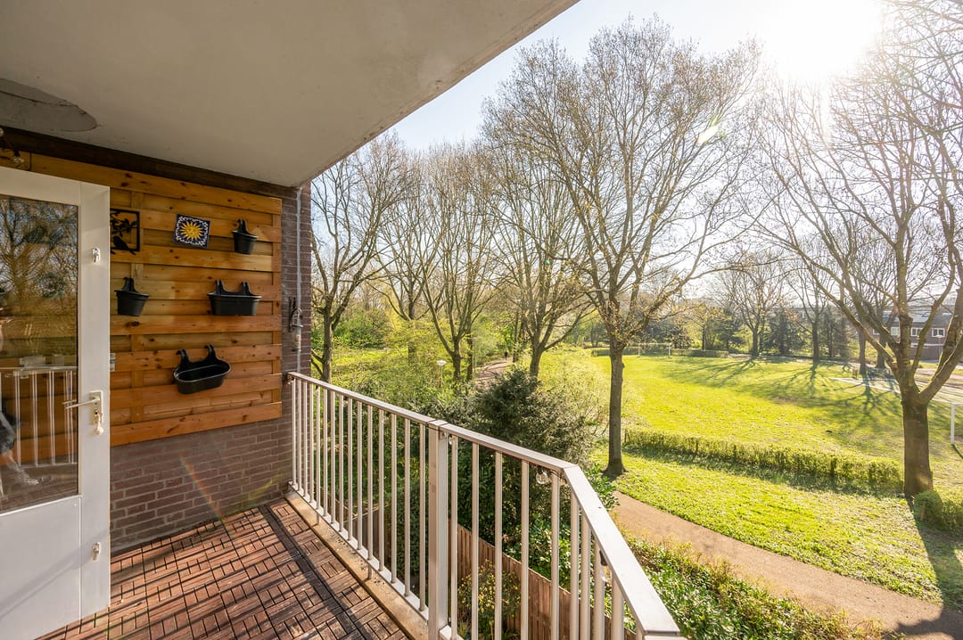 Foto 7 van Elzekrulzoom 45