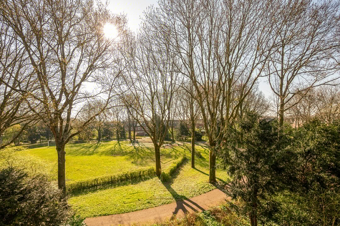 Foto 17 van Elzekrulzoom 45