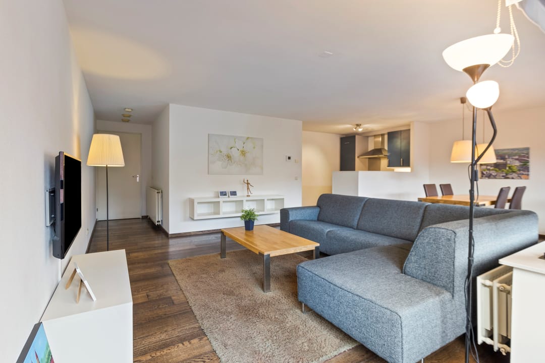 Photo 2 of Sphinxlunet 66-D