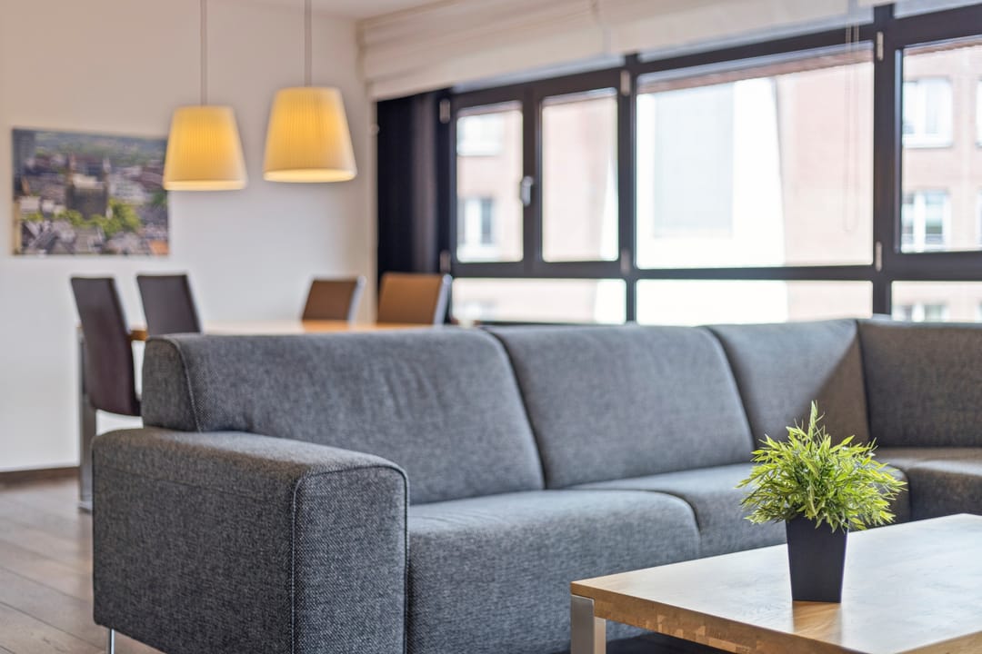 Photo 8 of Sphinxlunet 66-D