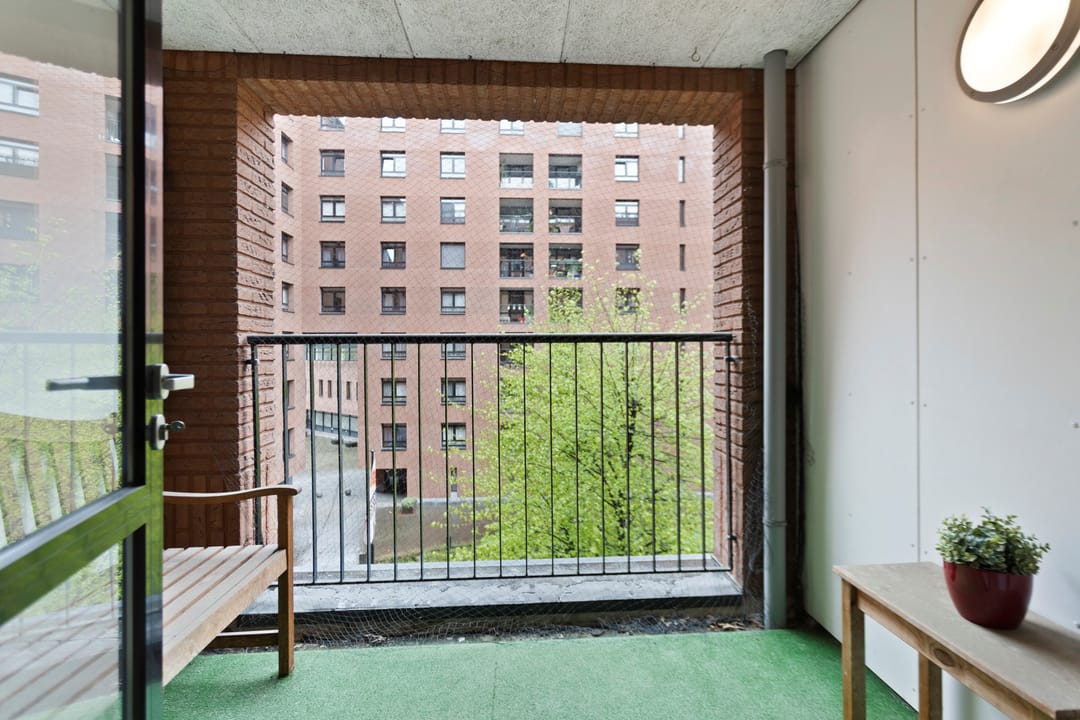 Photo 17 of Sphinxlunet 66-D