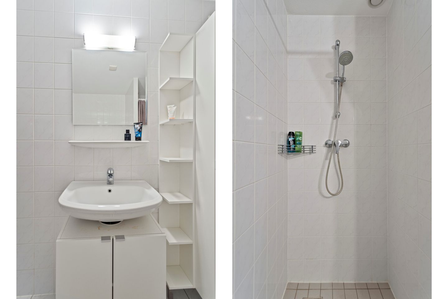 Photo 19 of Sphinxlunet 66-D