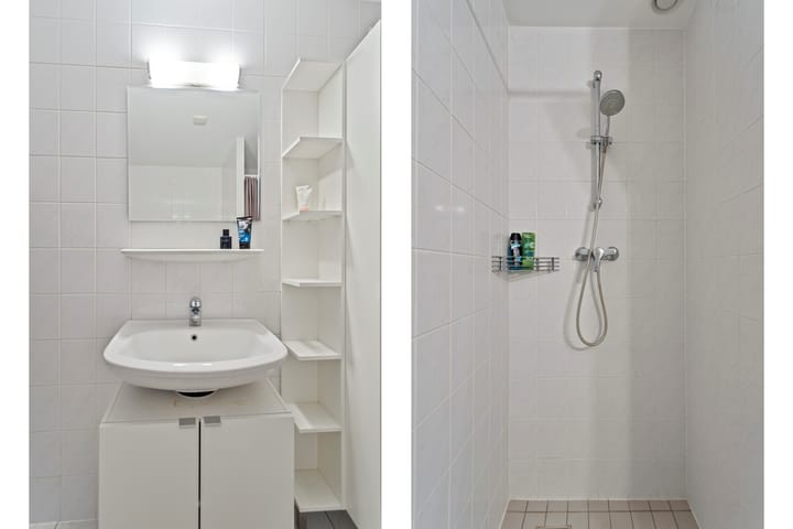 Foto 19 van Sphinxlunet 66-D