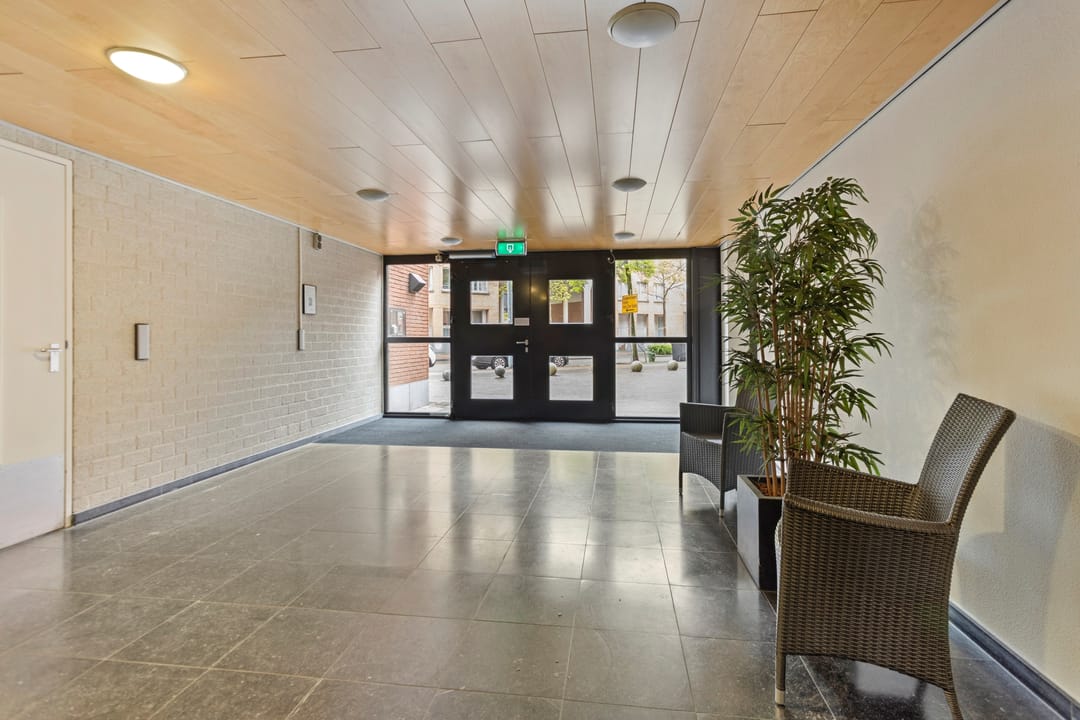 Photo 22 of Sphinxlunet 66-D