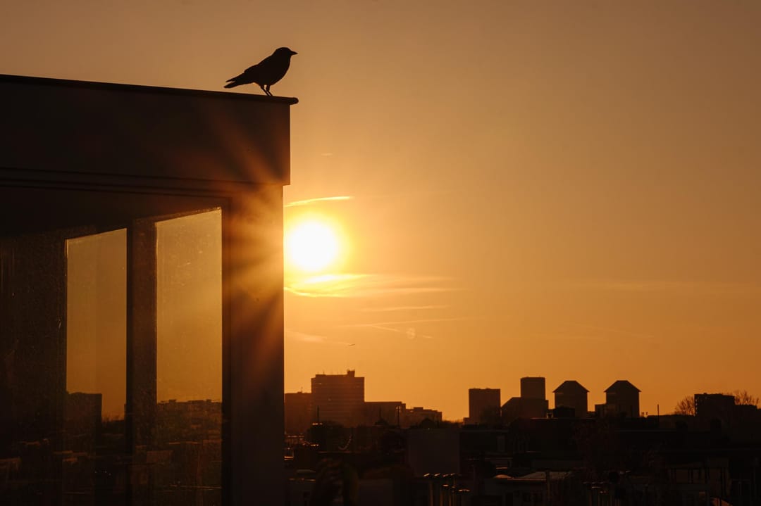 Foto 47 van Johannes Verhulststraat 157-3