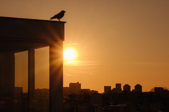 Foto 47 van Johannes Verhulststraat 157-3