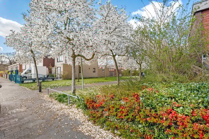 Foto 49 van De Kwikstaart 26