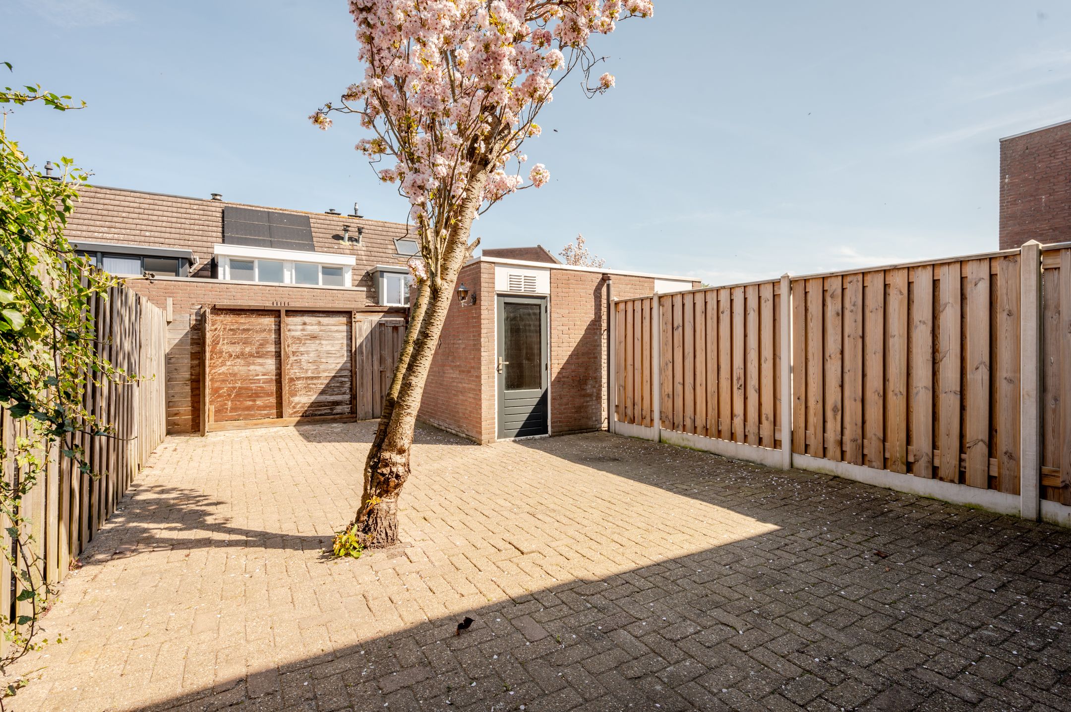 Foto 27 van Griend 35 92