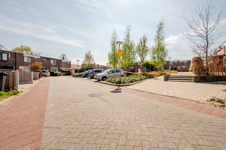 Foto 31 van Griend 35 92