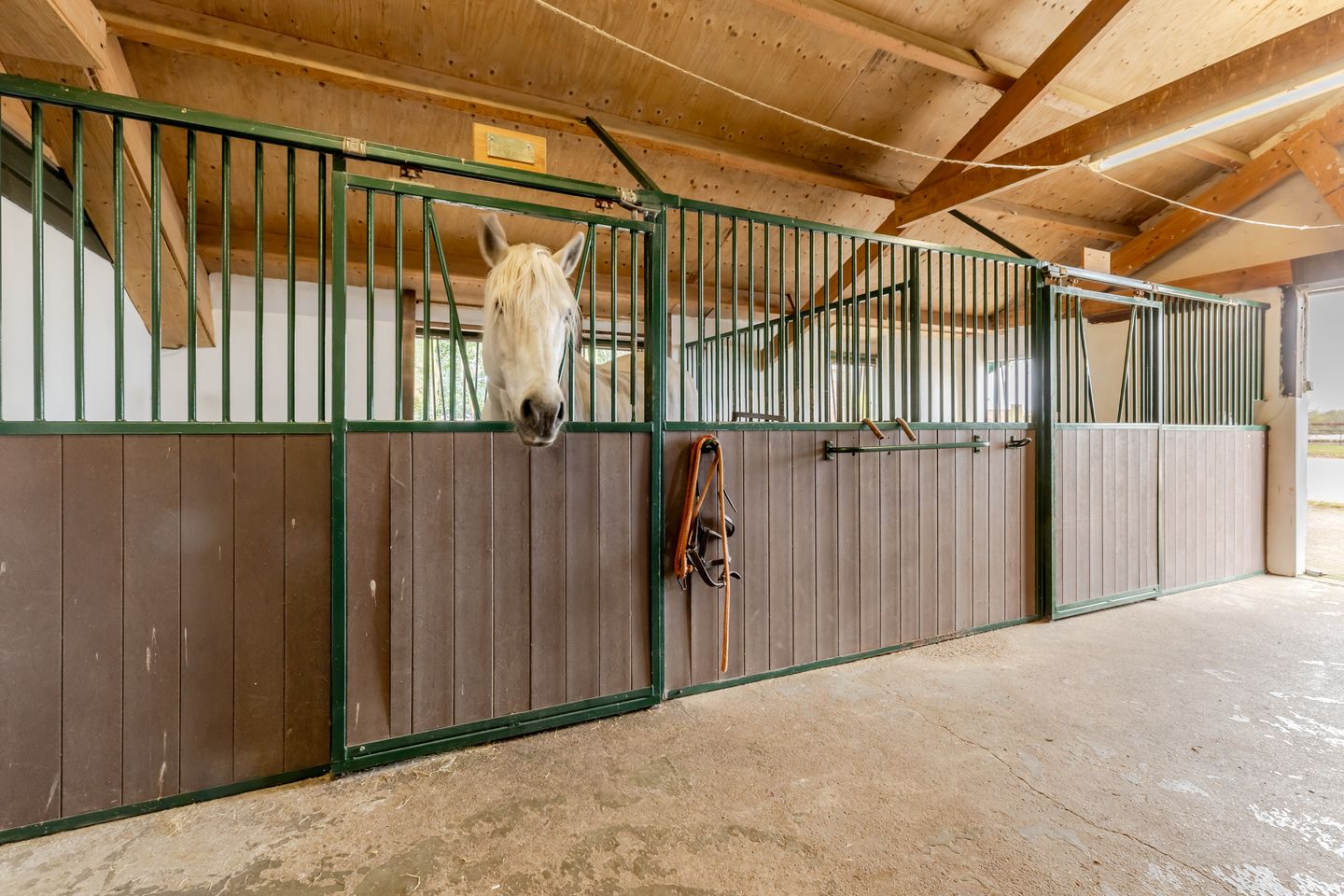 Foto 25 van Watermanseweg 14-A